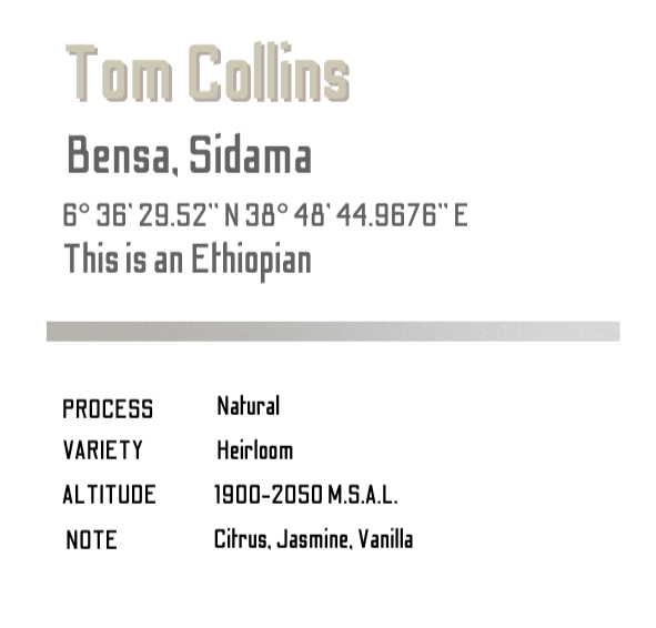 Taste of Ethiopia - Taster Pack