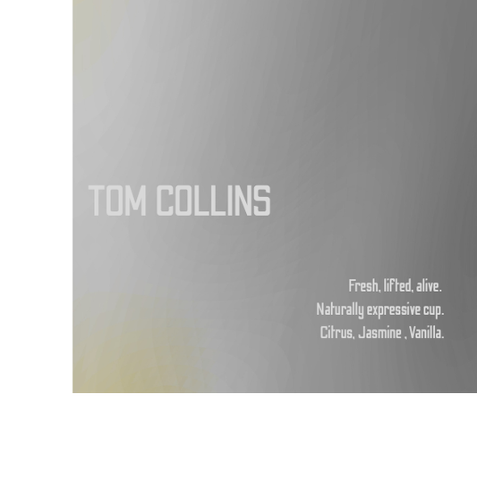 Tom Collins - Natural Ethiopia