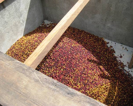 Nightcap - Decaf Coffee